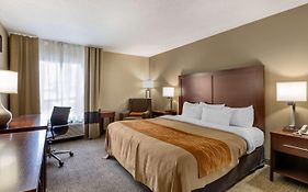 Comfort Inn Walcott Near Davenport